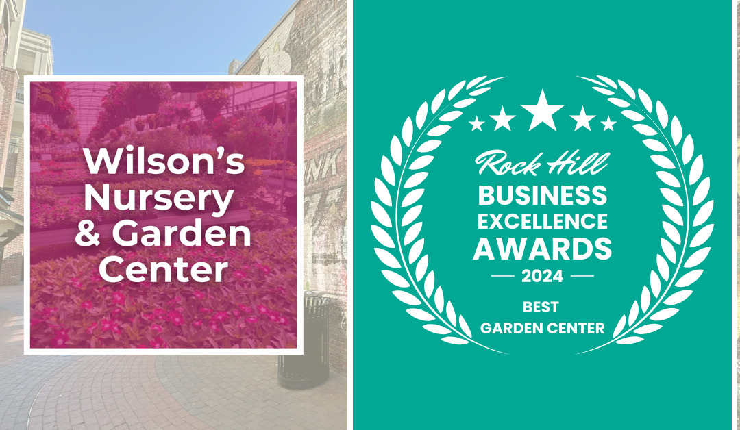 2024 Best Garden Center in Rock Hill: Honoring Excellence in York County