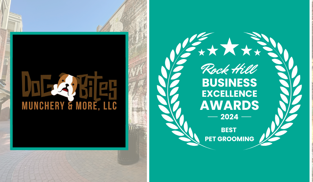 2024 Best Pet Grooming in Rock Hill: Honoring Excellence in York County