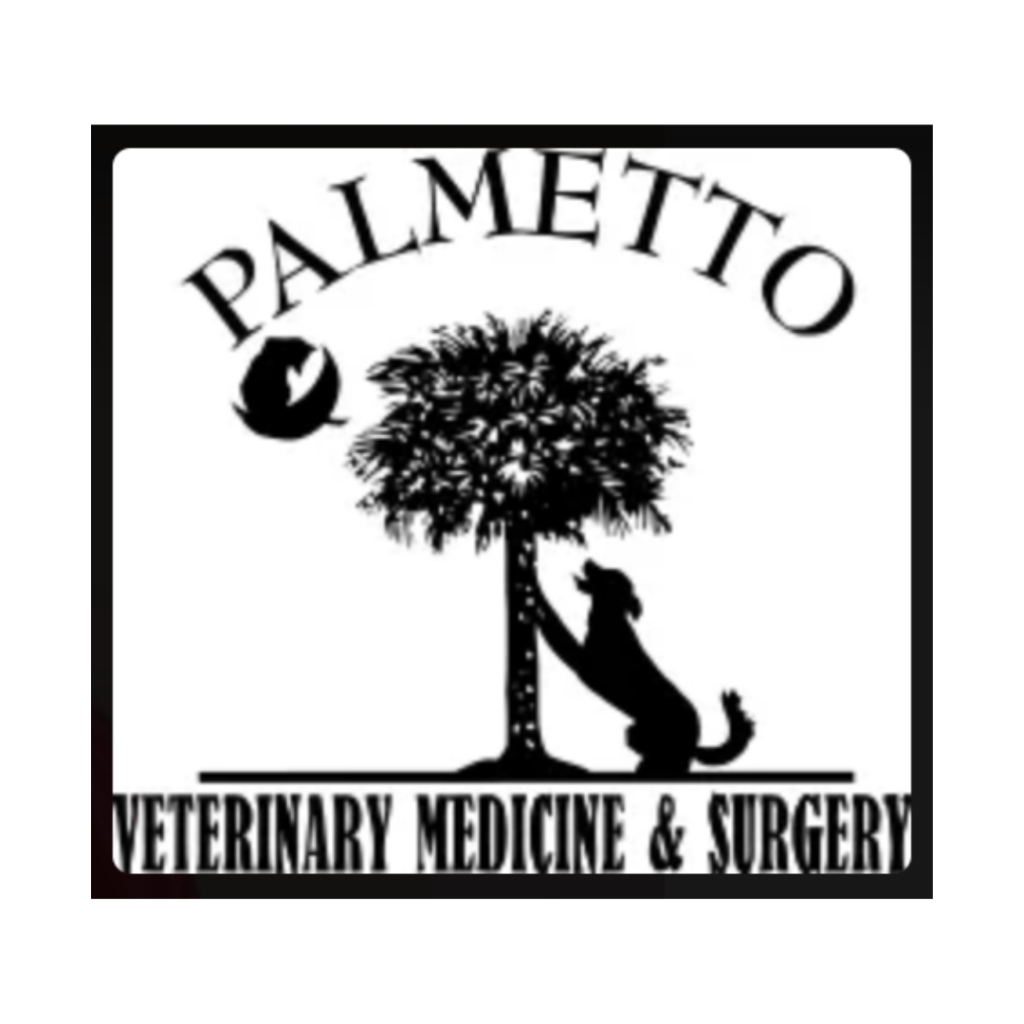 Palmetto Veterinary Medicine & Surgery