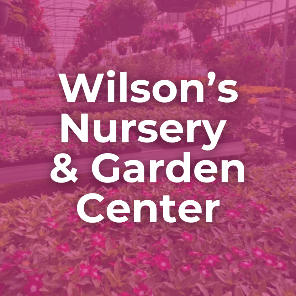 Wilsons Nursery