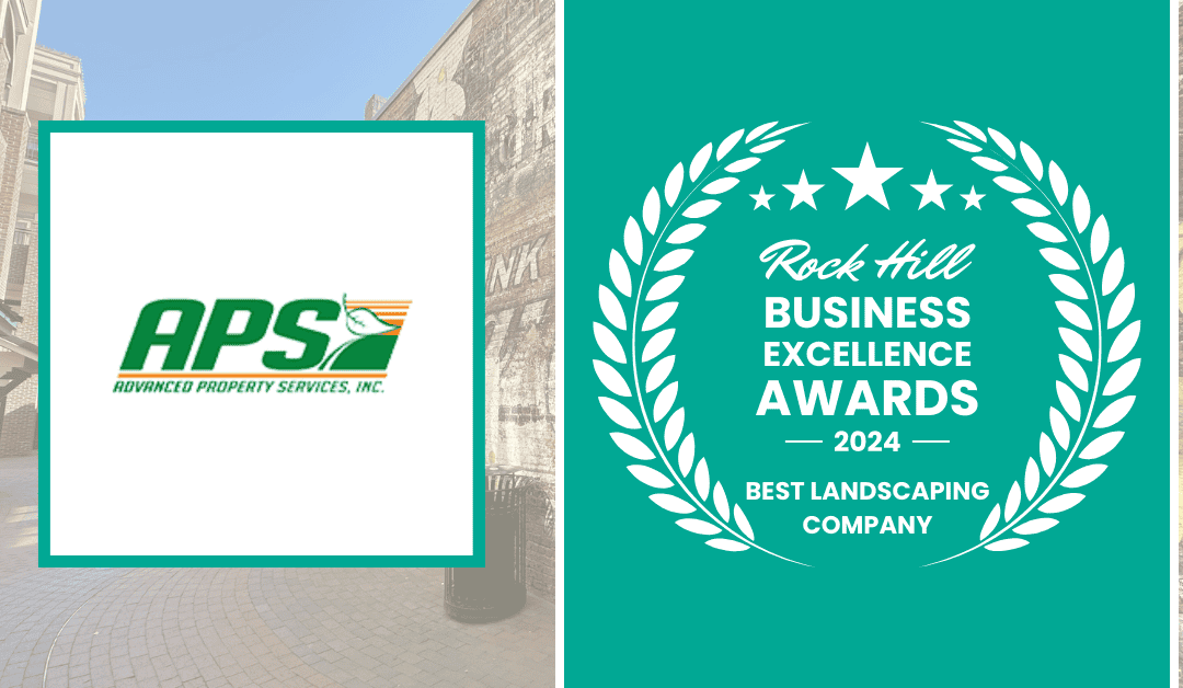 2024 Best Landscaping Company in Rock Hill: Honoring Excellence in York County