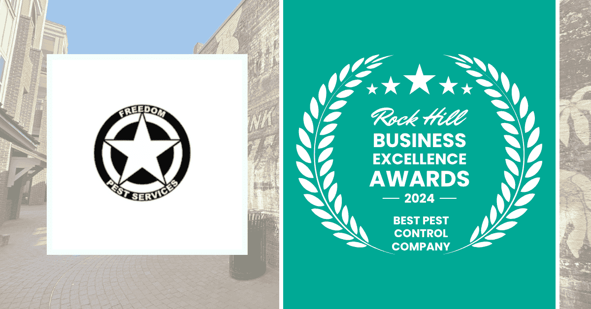 2024 rock hill business excellence awards winner -Best Pest Control Company 2024 rock hill business excellence awards winner -Best Pest Control Company