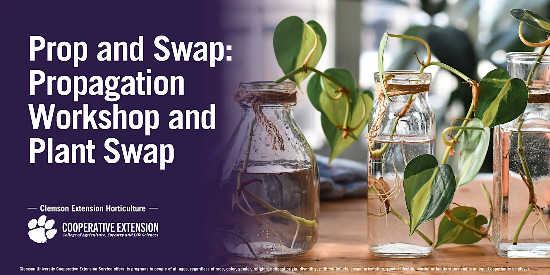 Prop and Swap: Propagation Workshop and Plant Swap